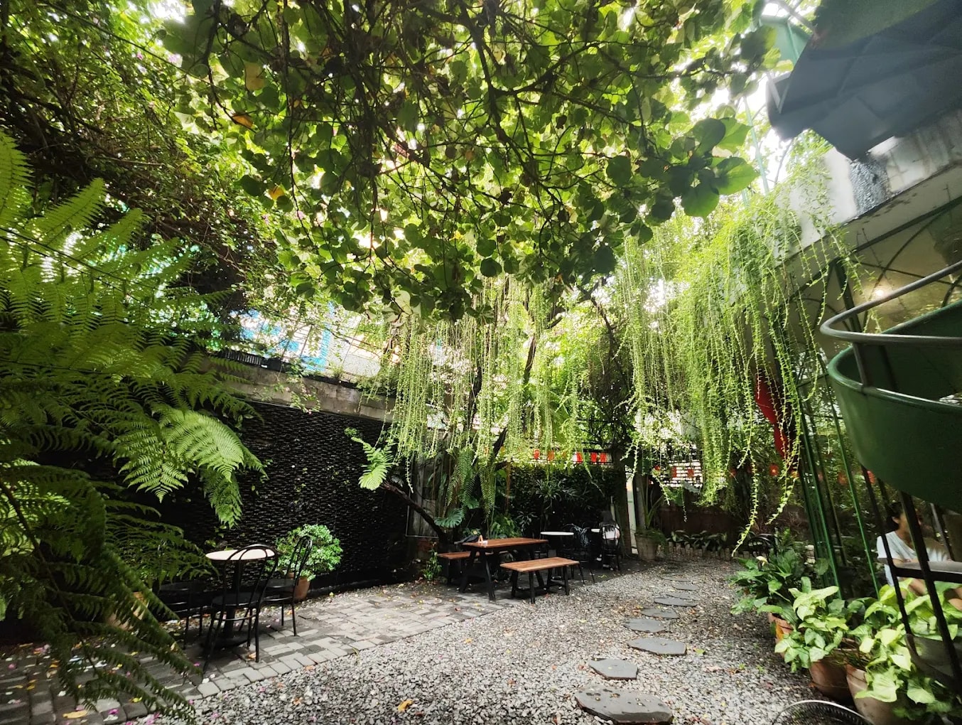 The lush greenery and tropical-inspired décor make Beanthere feel like a peaceful garden escape within the city